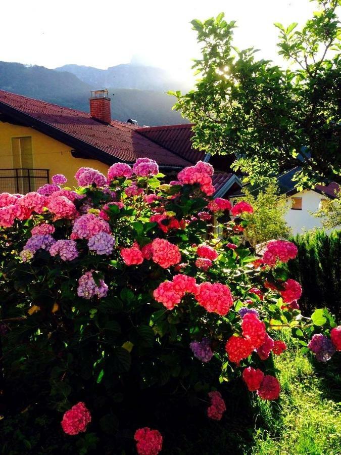 Cosy Cottage With Views Near Кобарид Экстерьер фото